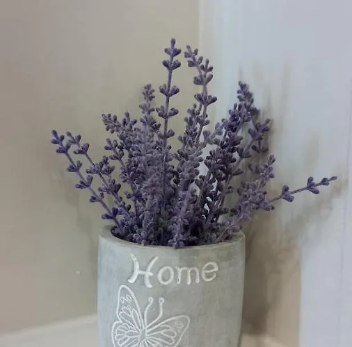 Apartment Lux Antonija Makarska